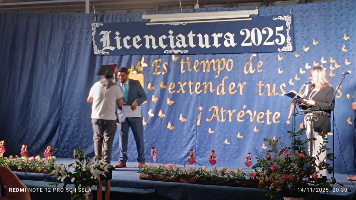 Licenciatura IV Medios