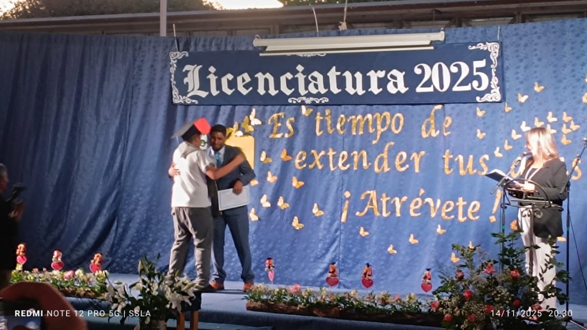 Licenciatura IV Medios