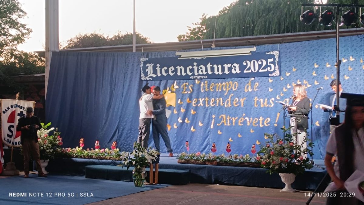 Licenciatura IV Medios