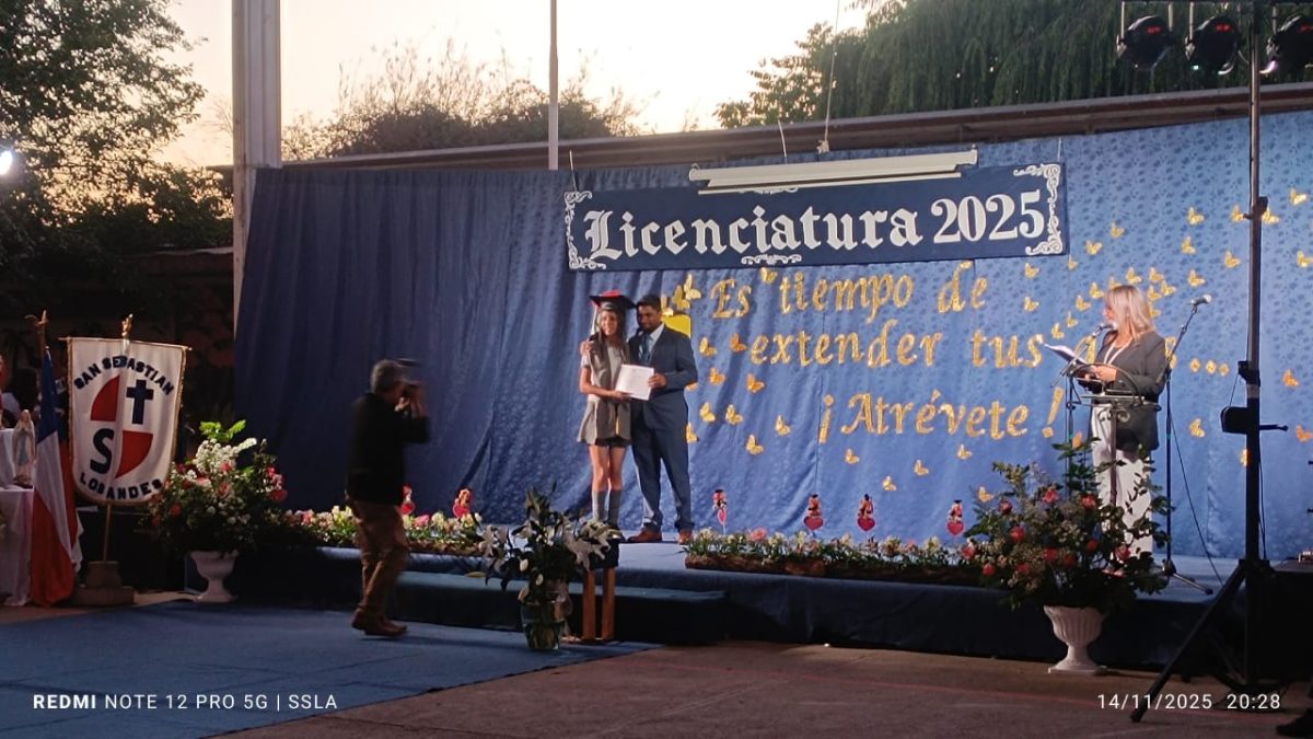 Licenciatura IV Medios