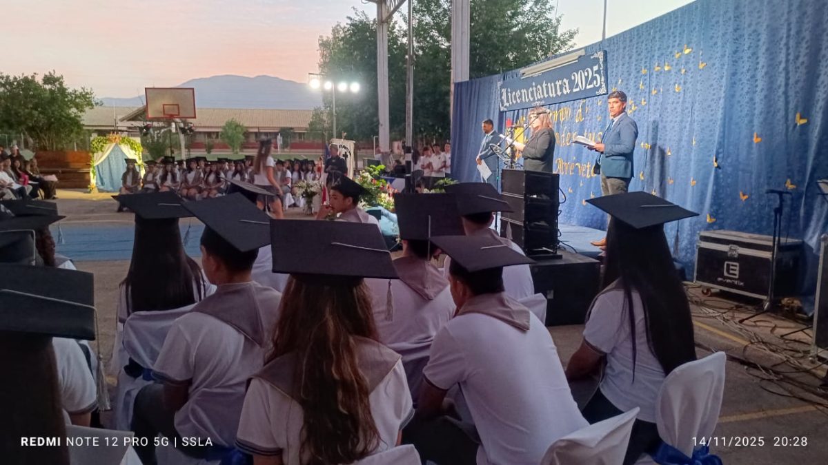 Licenciatura IV Medios