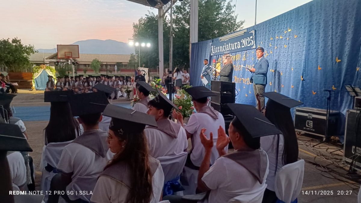 Licenciatura IV Medios