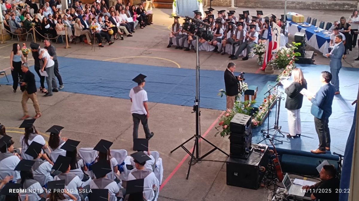 Licenciatura IV Medios