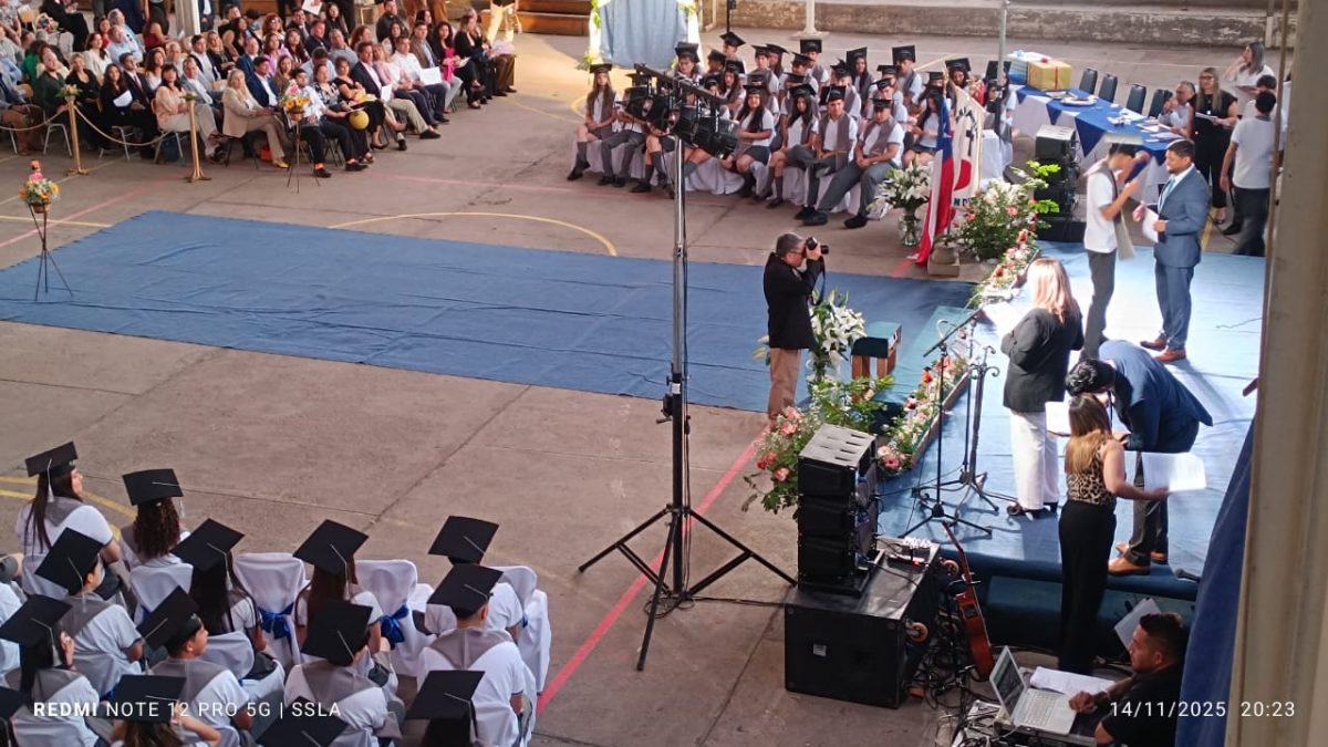 Licenciatura IV Medios