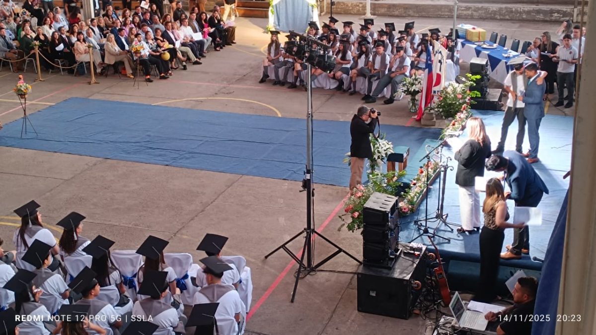 Licenciatura IV Medios