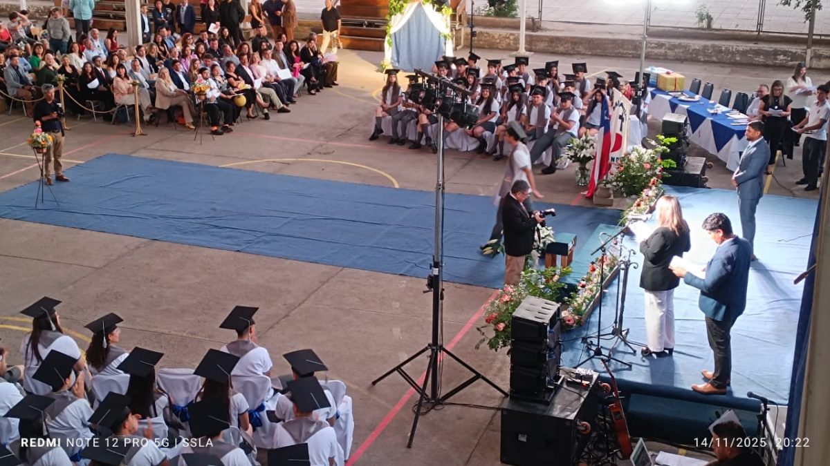 Licenciatura IV Medios