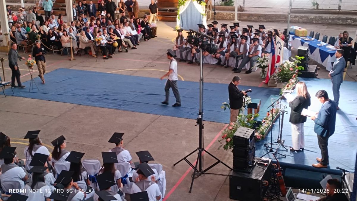 Licenciatura IV Medios