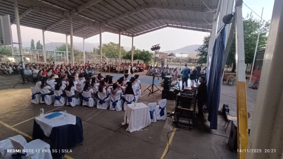 Licenciatura IV Medios