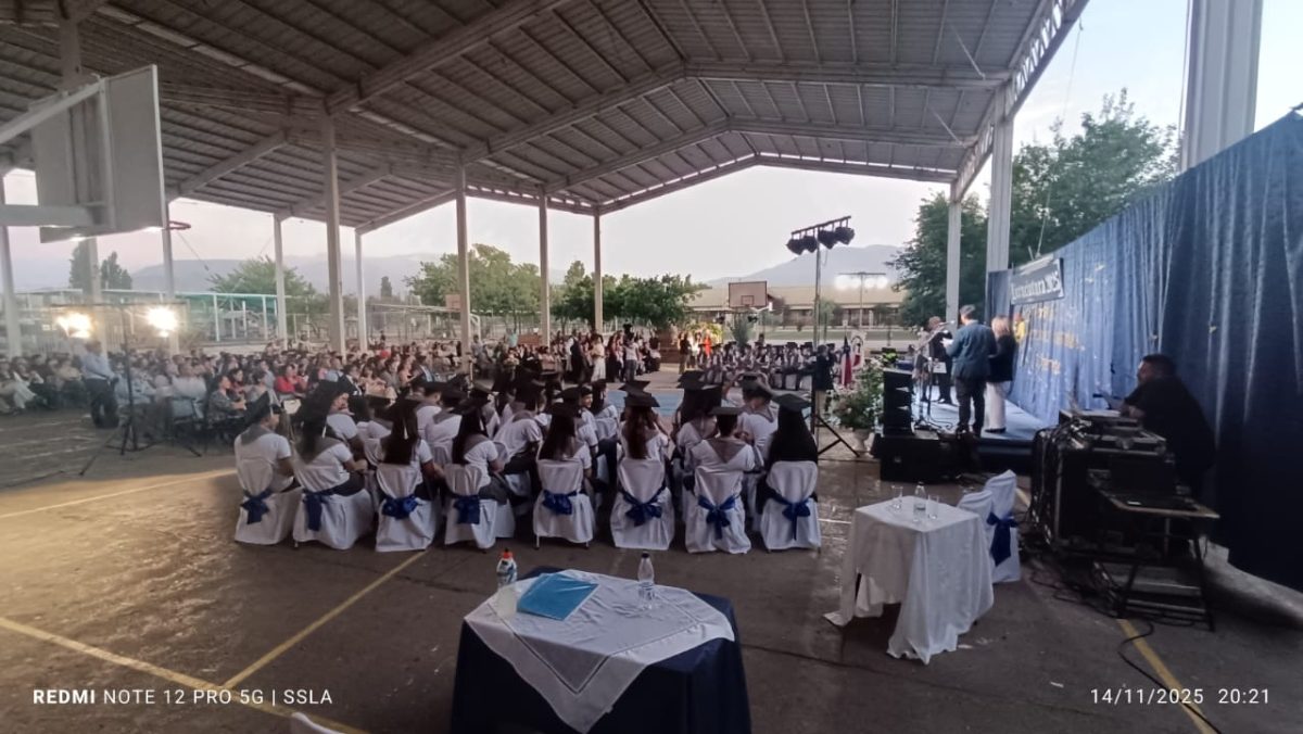 Licenciatura Cuartos Medios – Generación 2025