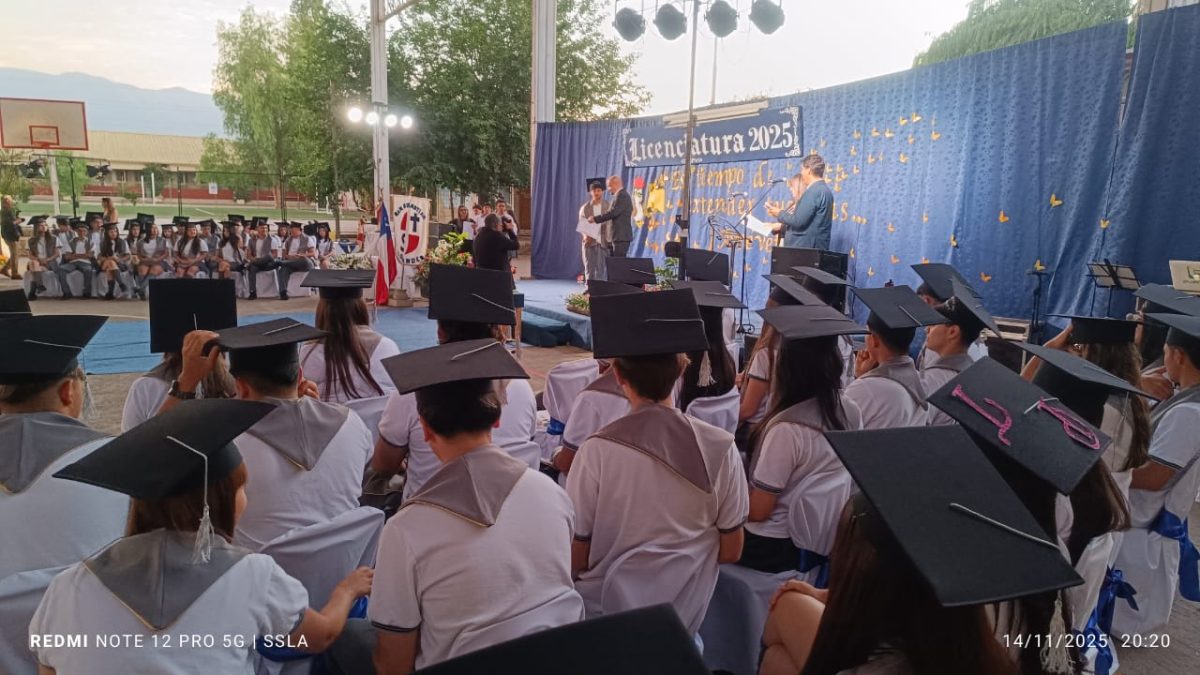 Licenciatura IV Medios