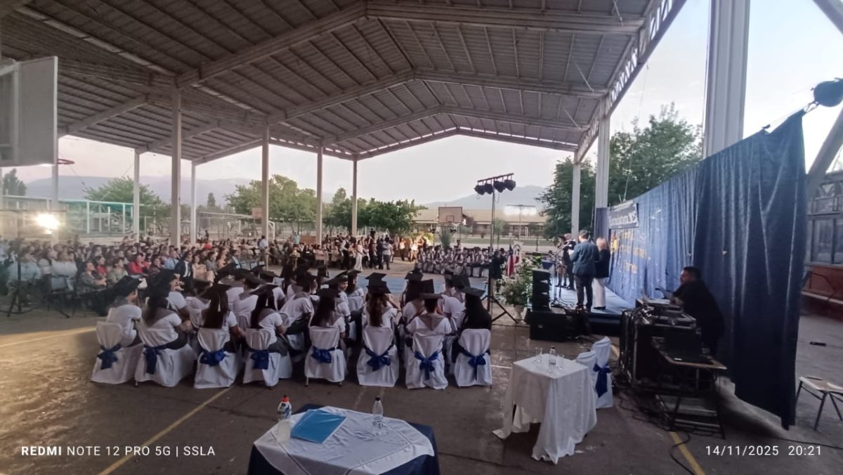 Licenciatura IV Medios