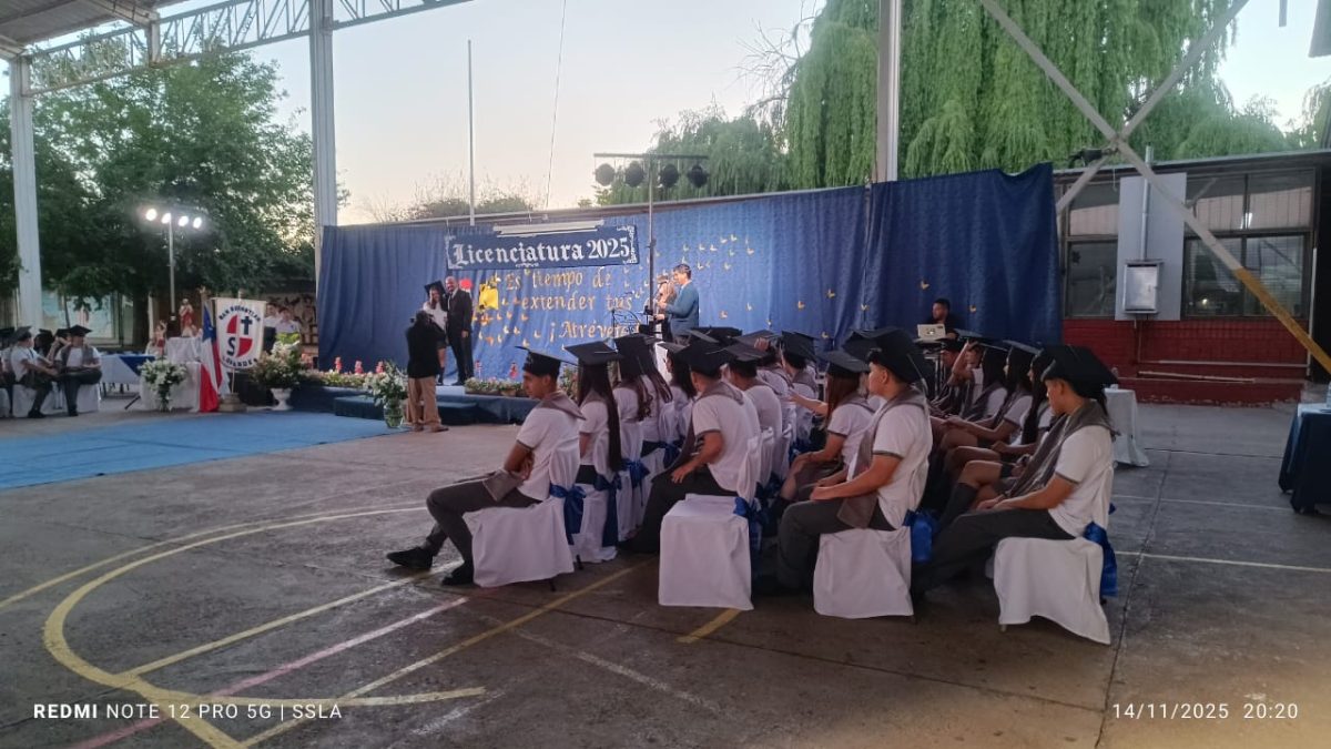 Licenciatura IV Medios