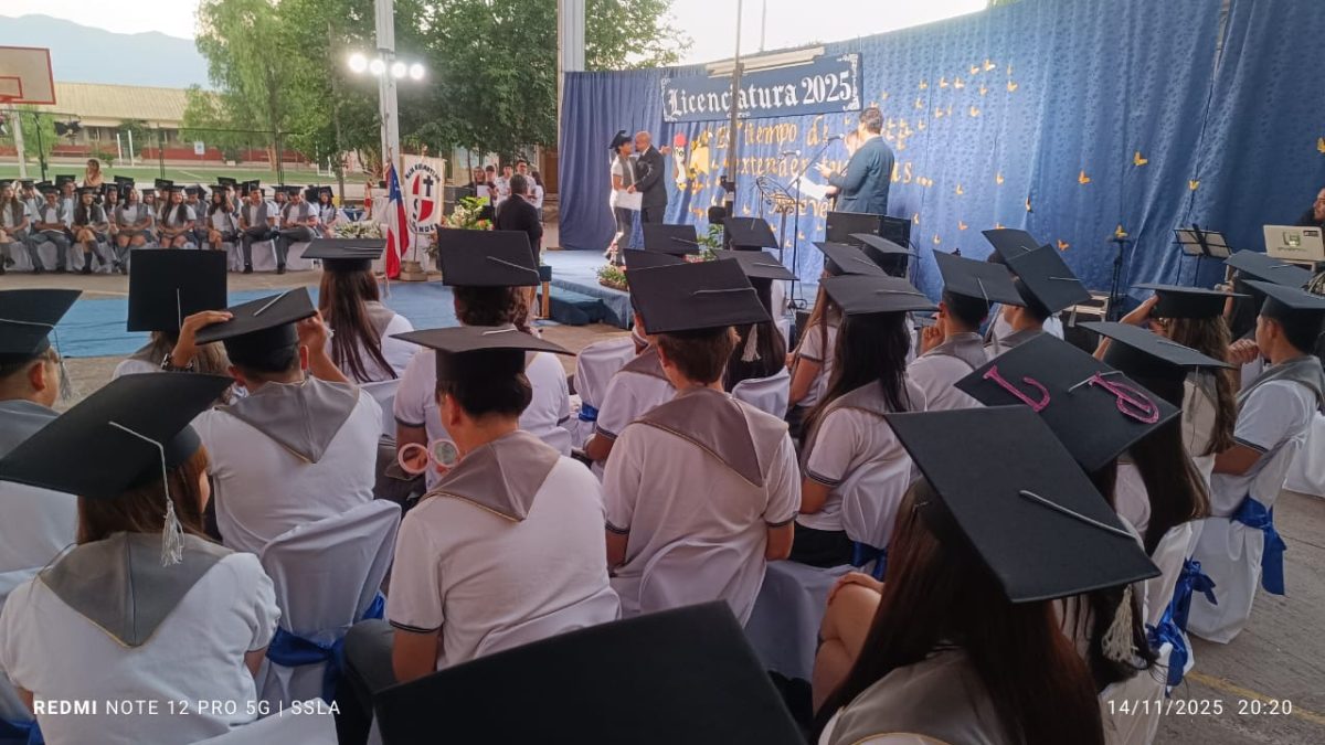 Licenciatura IV Medios