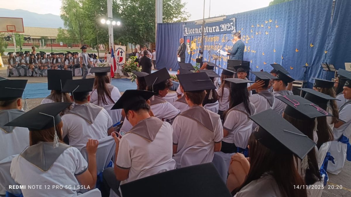 Licenciatura IV Medios