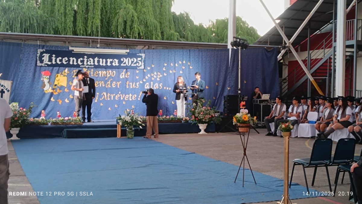 Licenciatura IV Medios