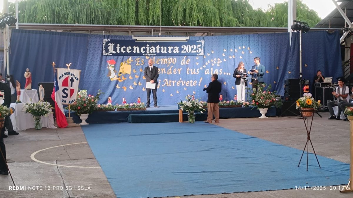 Licenciatura IV Medios