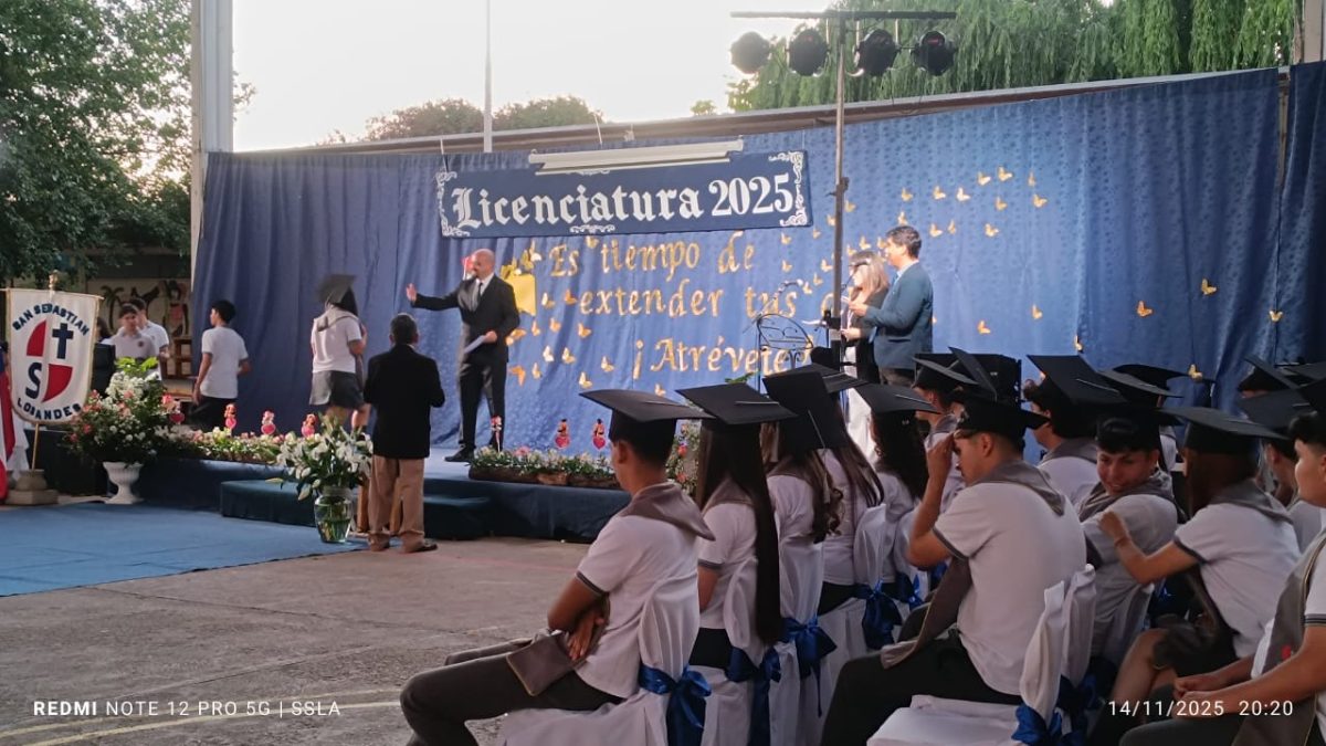 Licenciatura IV Medios