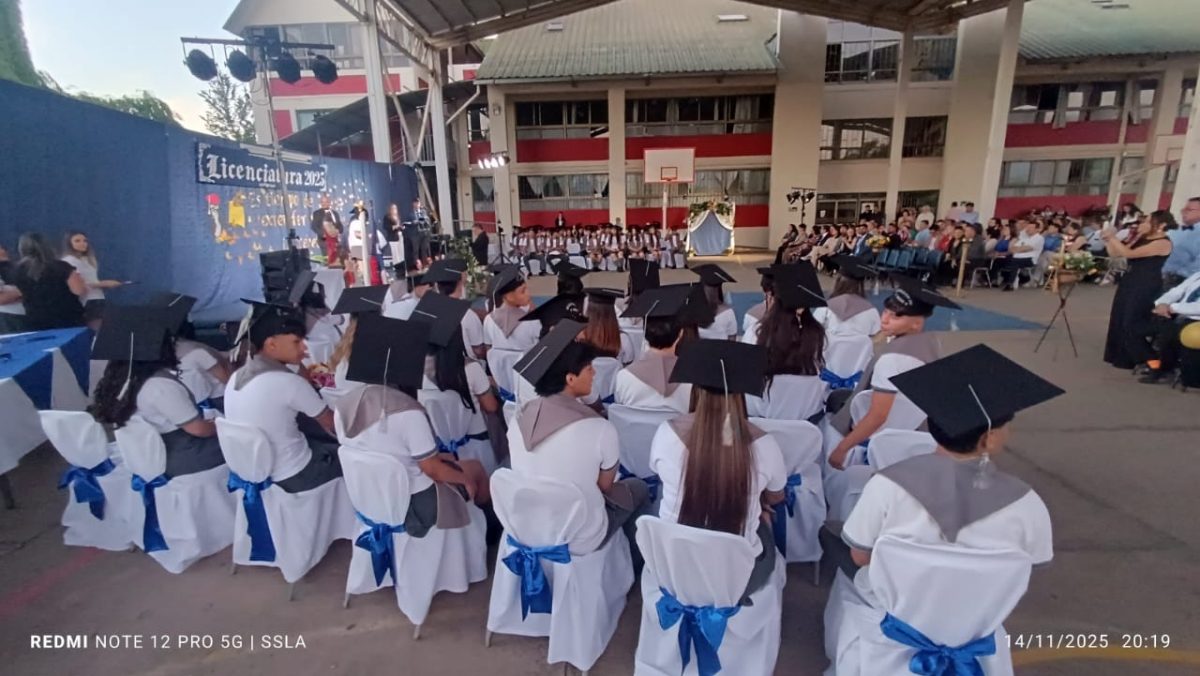 Licenciatura IV Medios