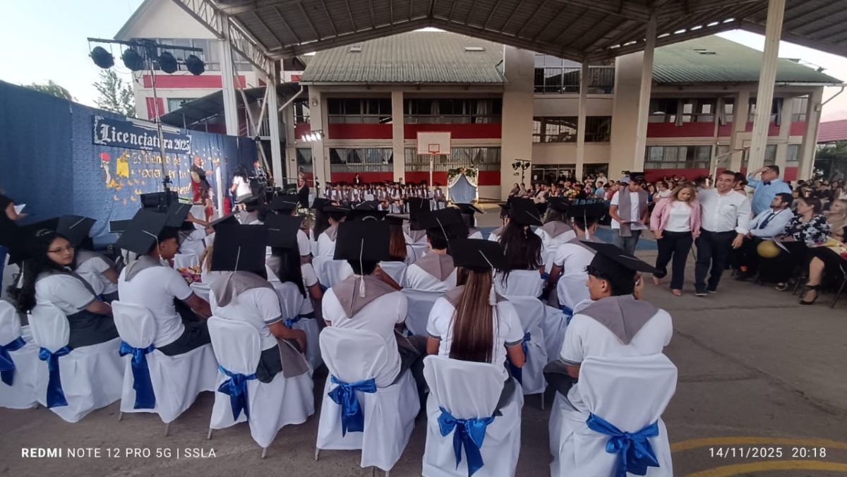 Licenciatura IV Medios