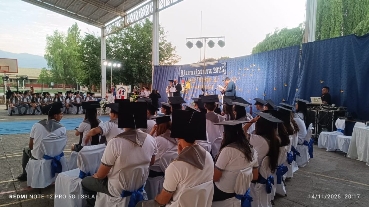 Licenciatura IV Medios