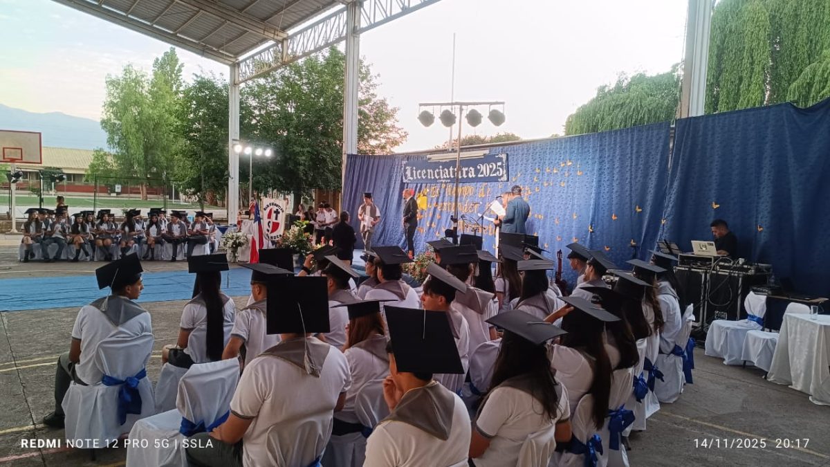 Licenciatura IV Medios
