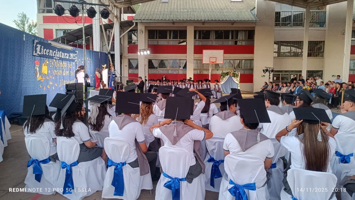 Licenciatura IV Medios