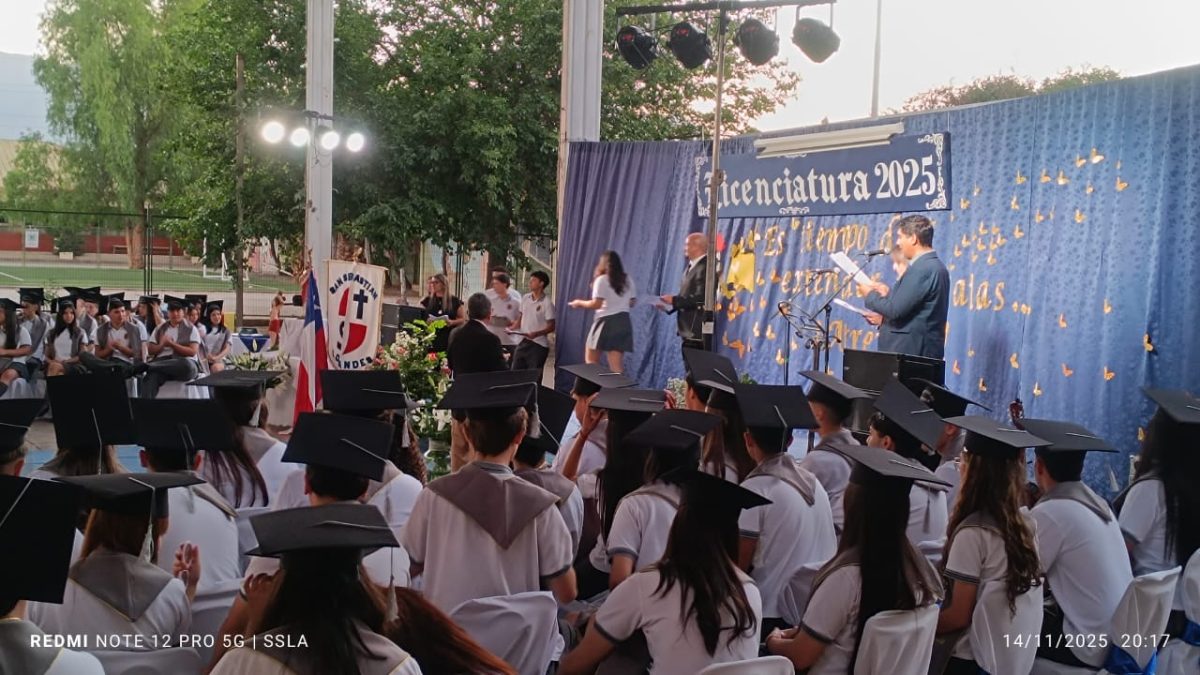 Licenciatura IV Medios