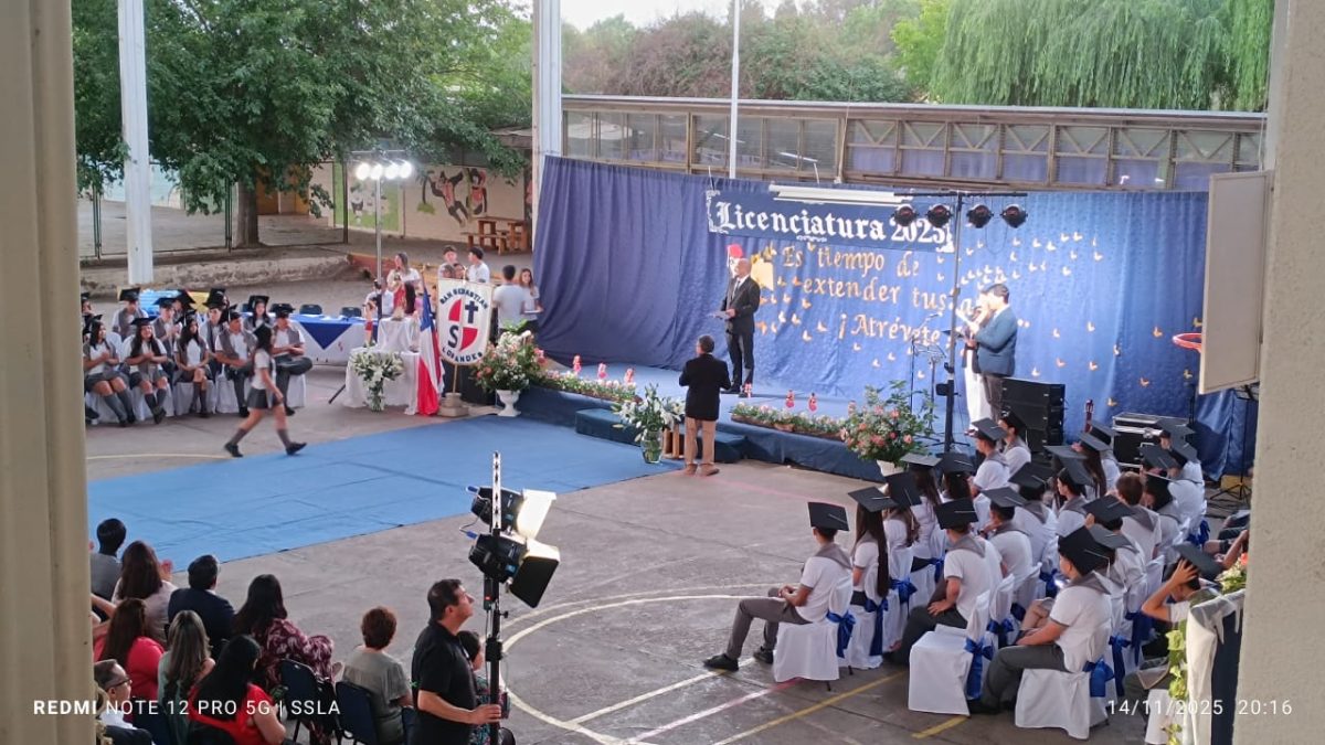 Licenciatura IV Medios