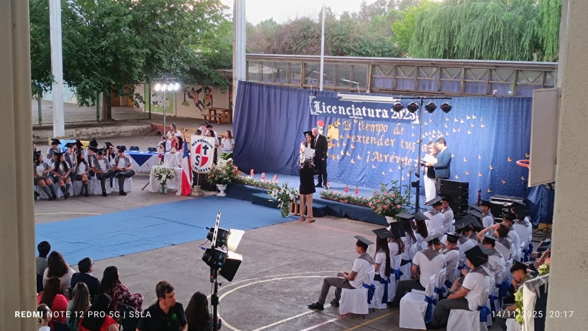 Licenciatura IV Medios