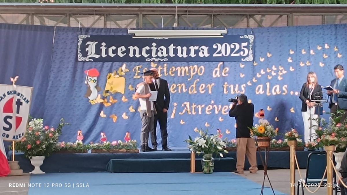 Licenciatura IV Medios
