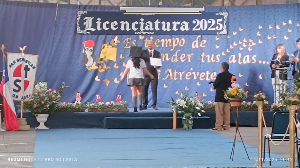 Licenciatura IV Medios