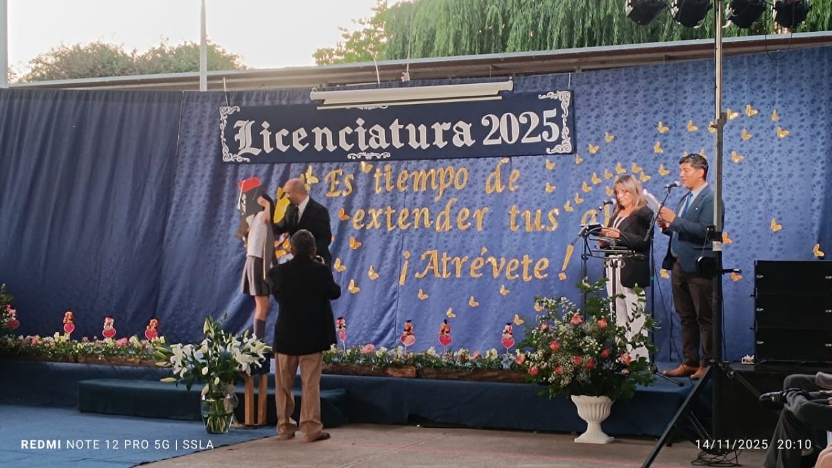 Licenciatura IV Medios