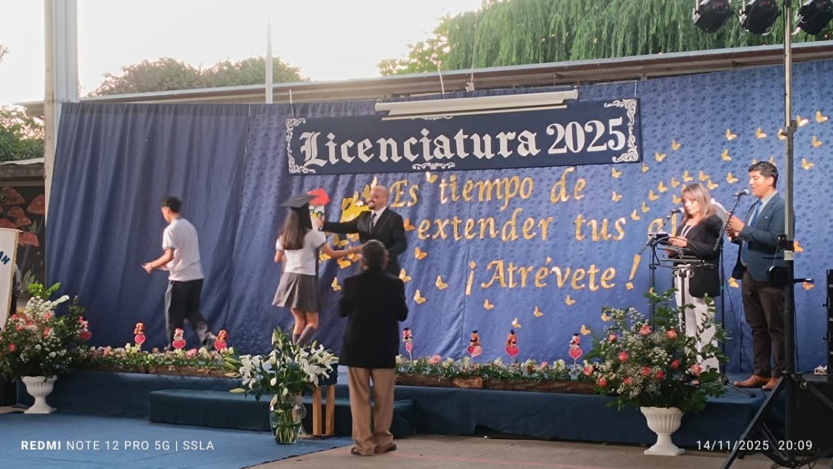 Licenciatura IV Medios