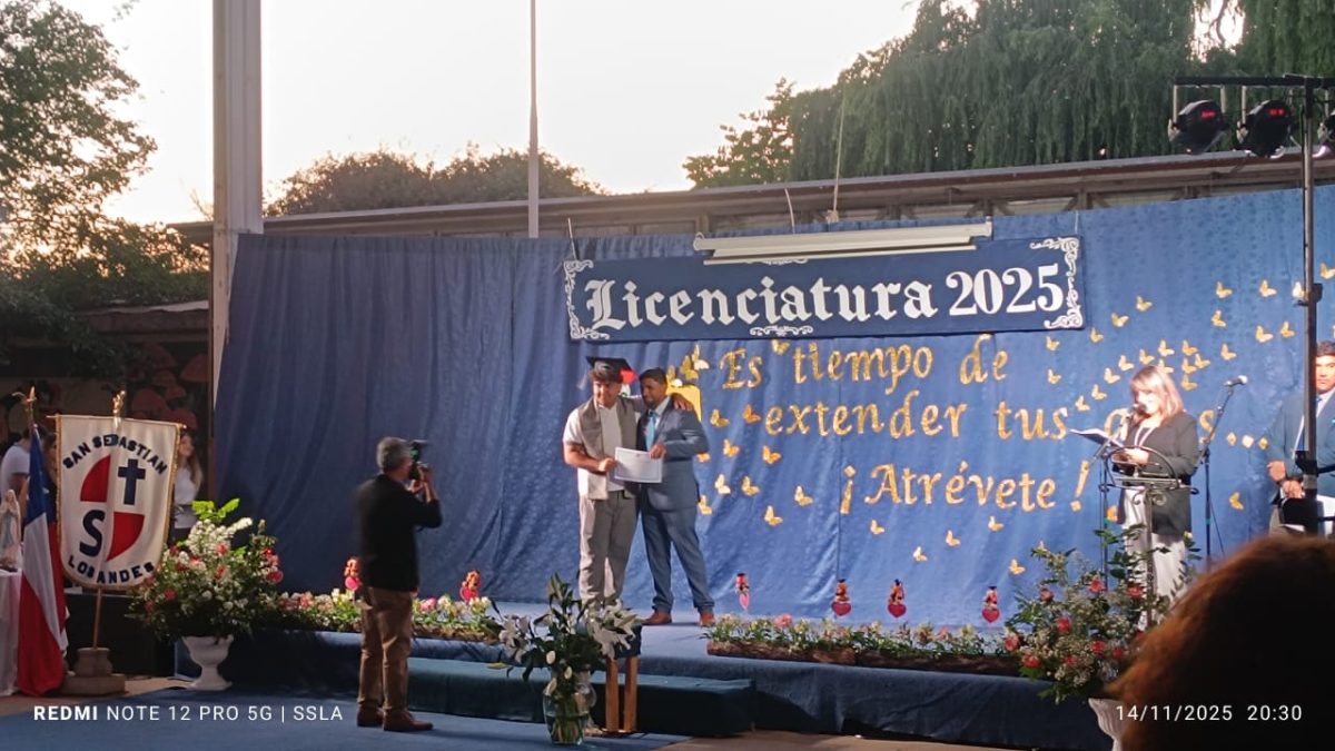 Licenciatura IV Medios