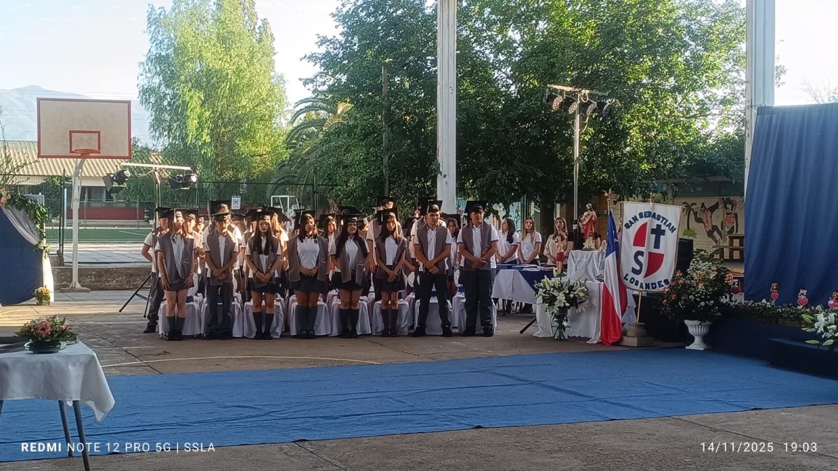 Licenciatura IV Medios