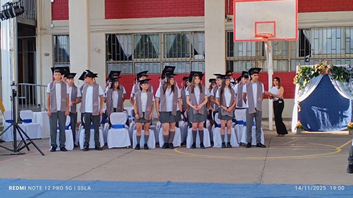 Licenciatura IV Medios