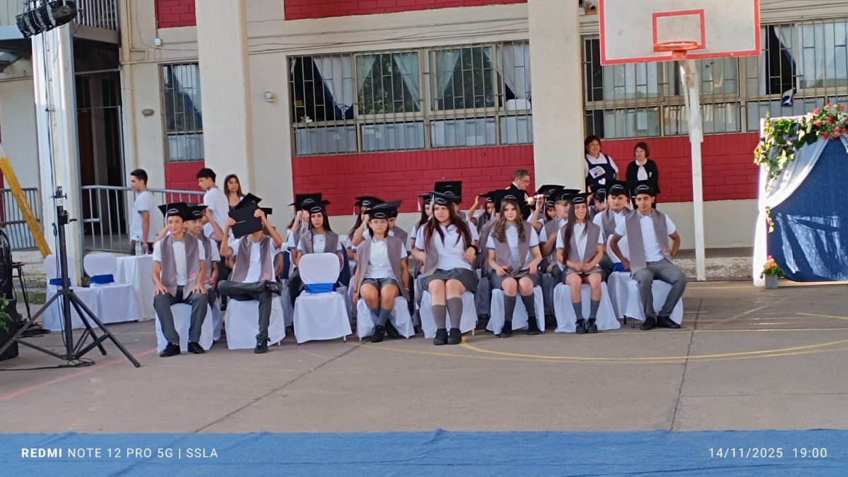 Licenciatura IV Medios