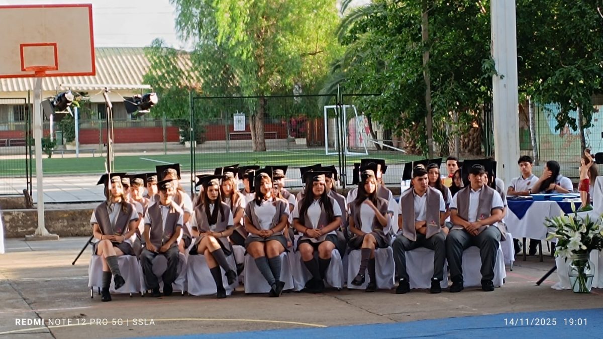 Licenciatura IV Medios