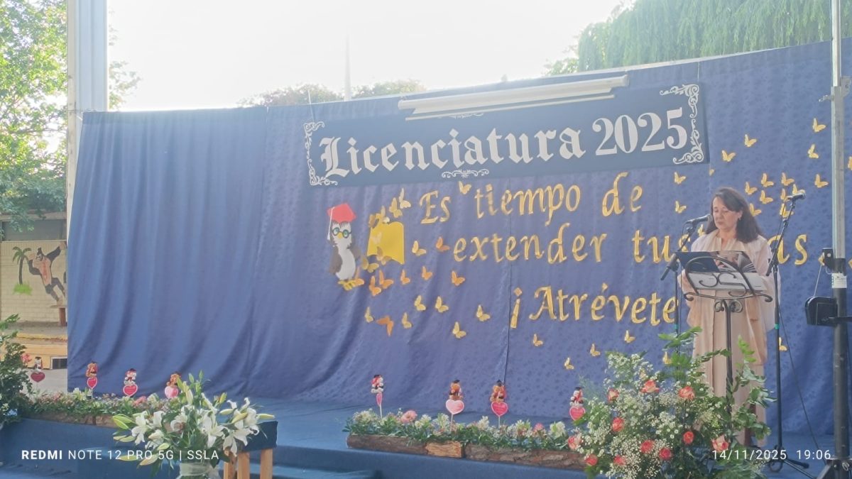 Licenciatura IV Medios