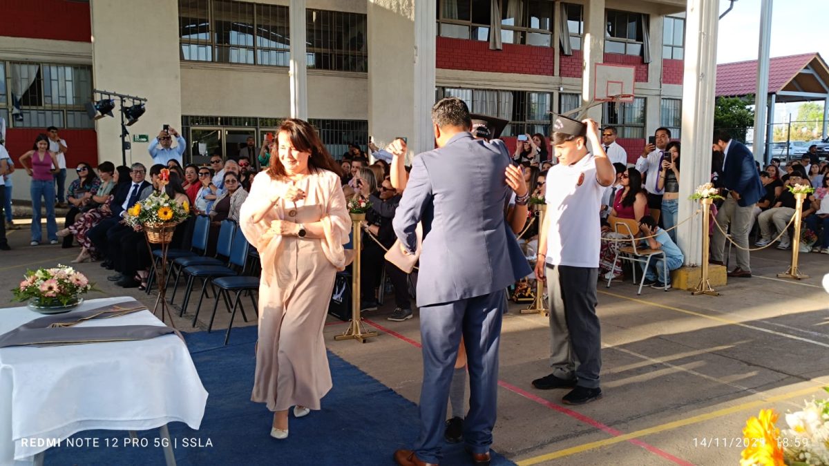 Licenciatura IV Medios