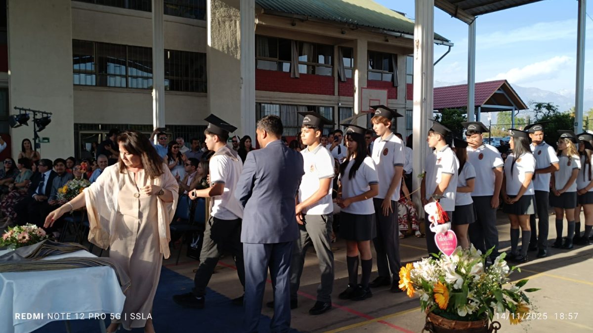 Licenciatura IV Medios