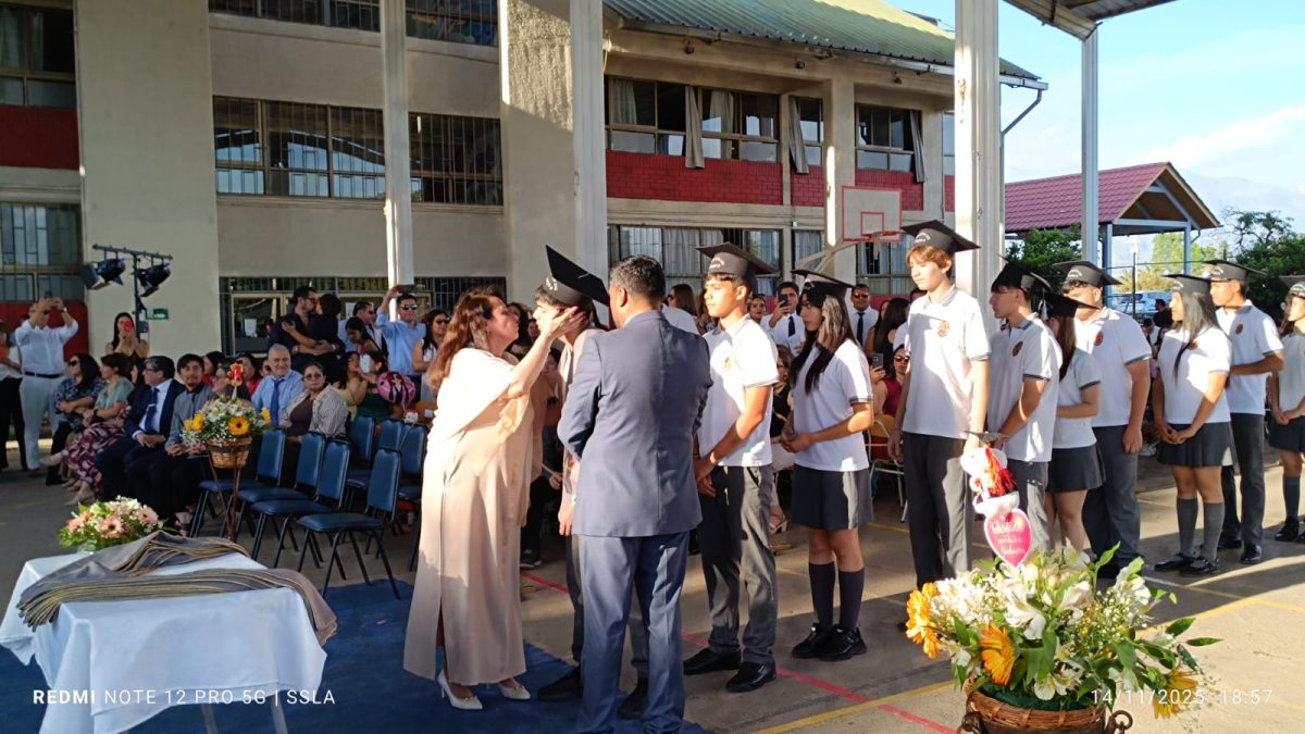 Licenciatura IV Medios