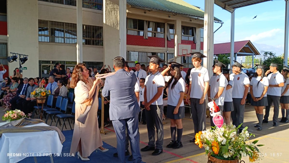 Licenciatura IV Medios