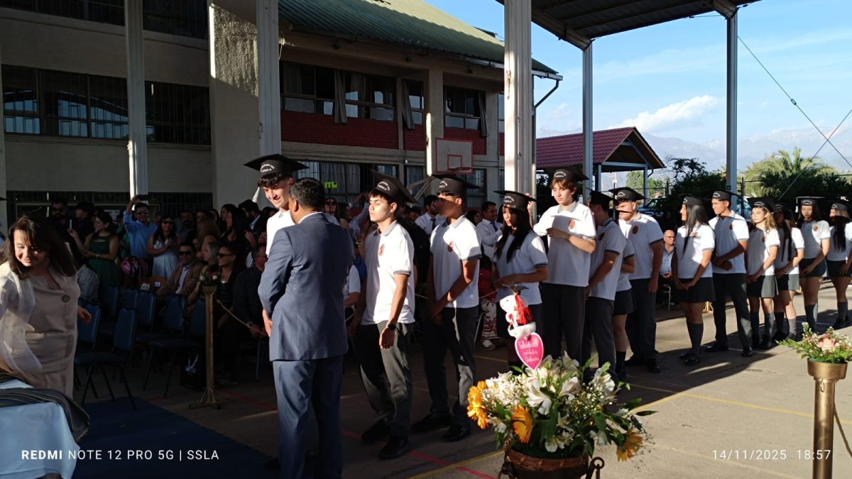 Licenciatura IV Medios