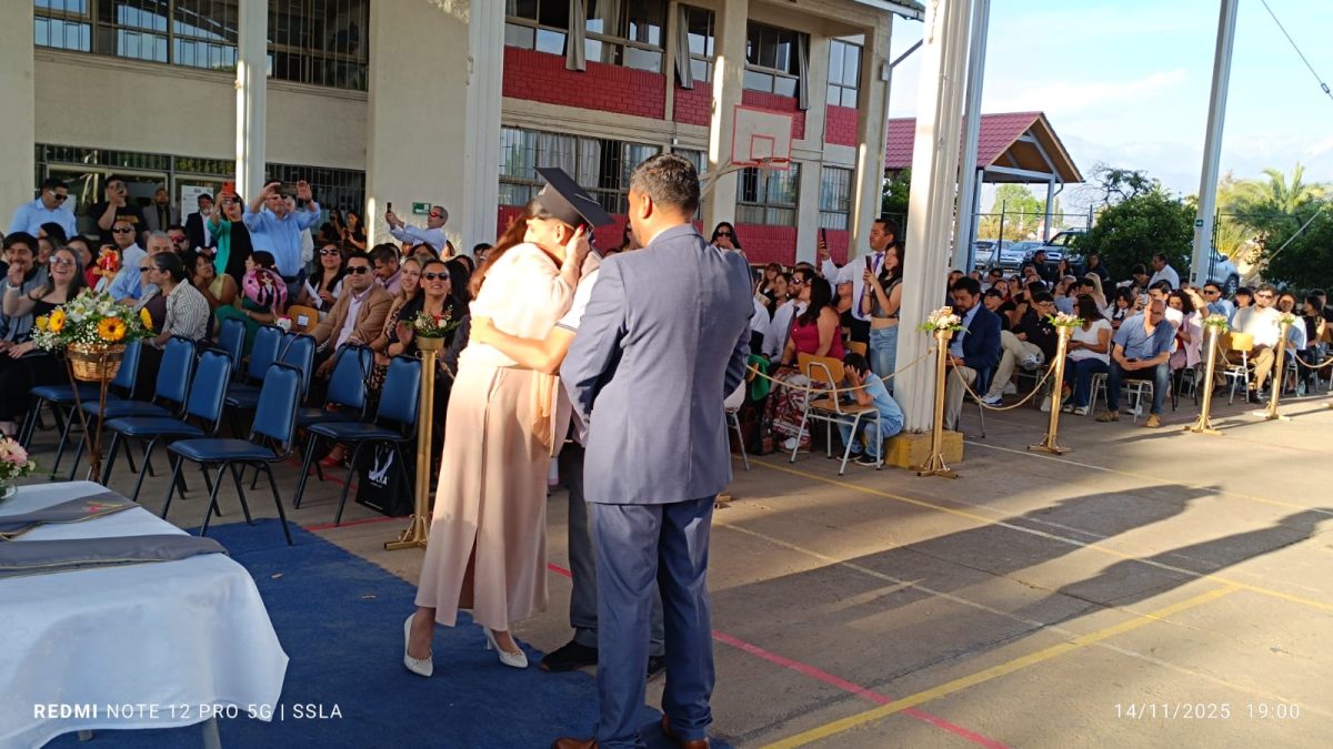 Licenciatura IV Medios