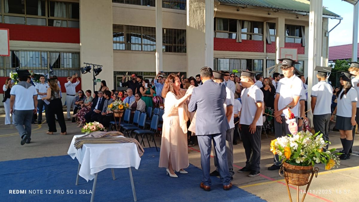 Licenciatura IV Medios