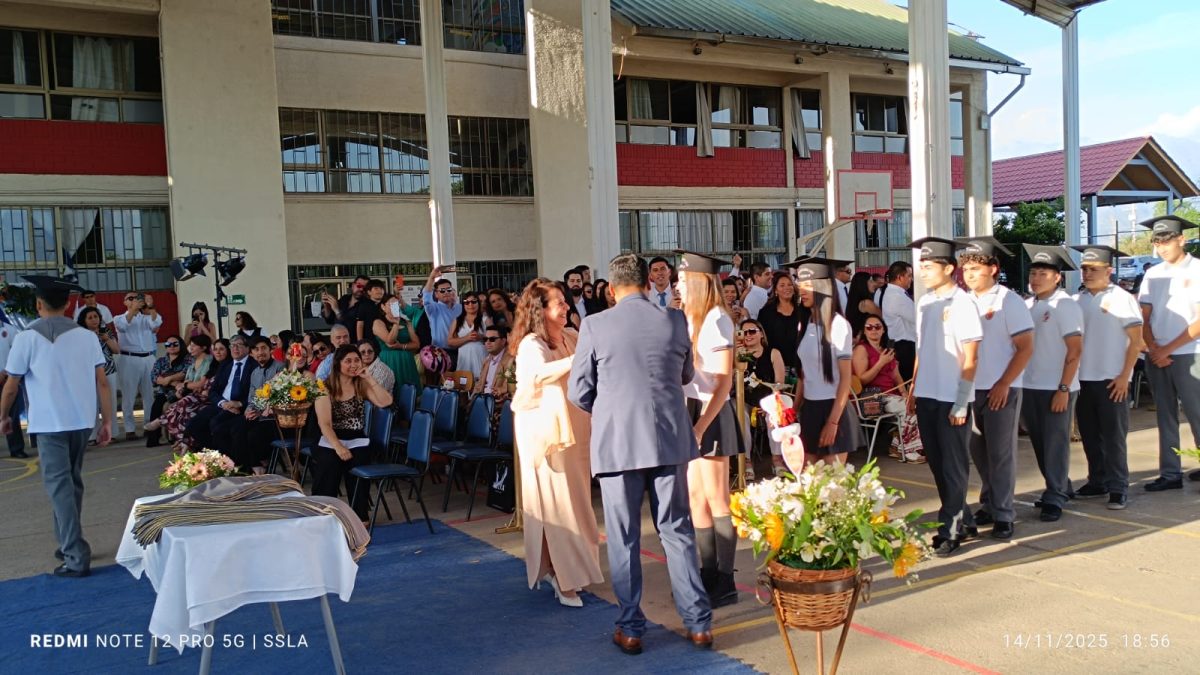 Licenciatura IV Medios