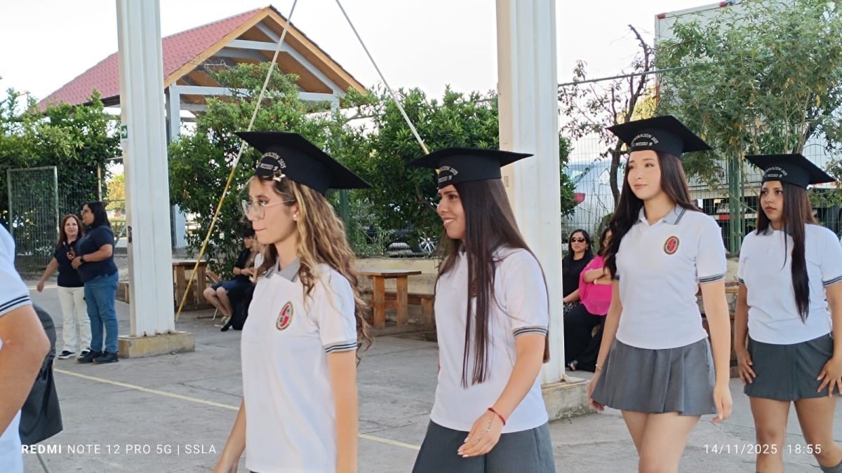 Licenciatura IV Medios