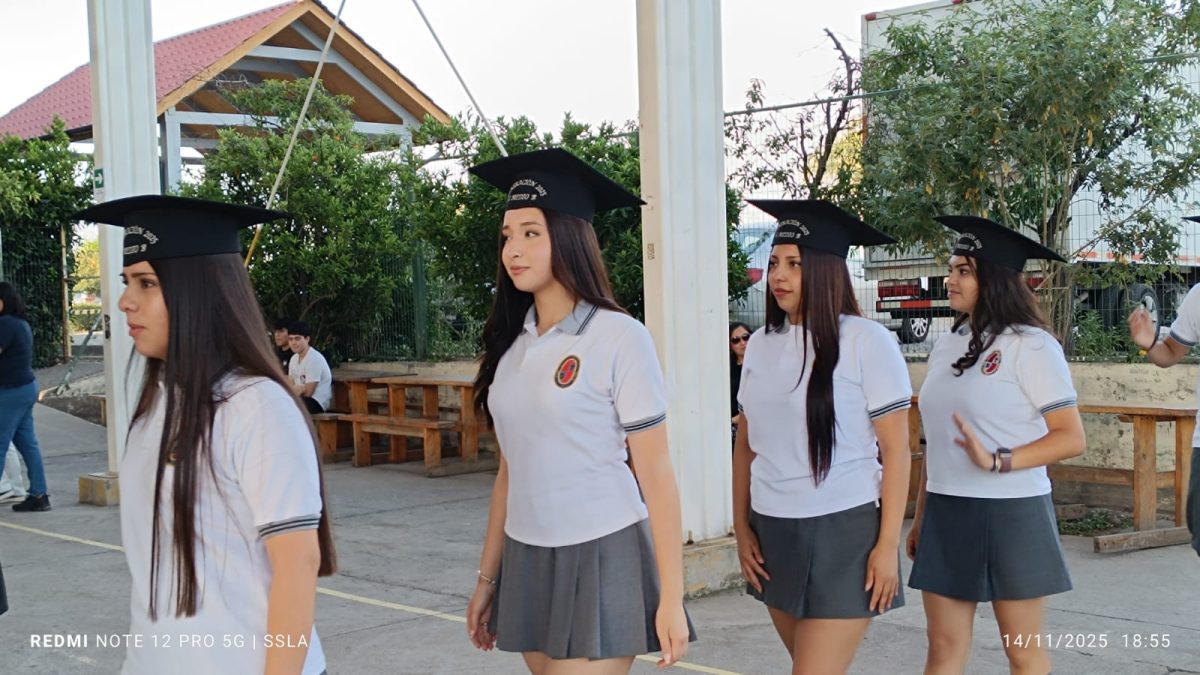 Licenciatura IV Medios