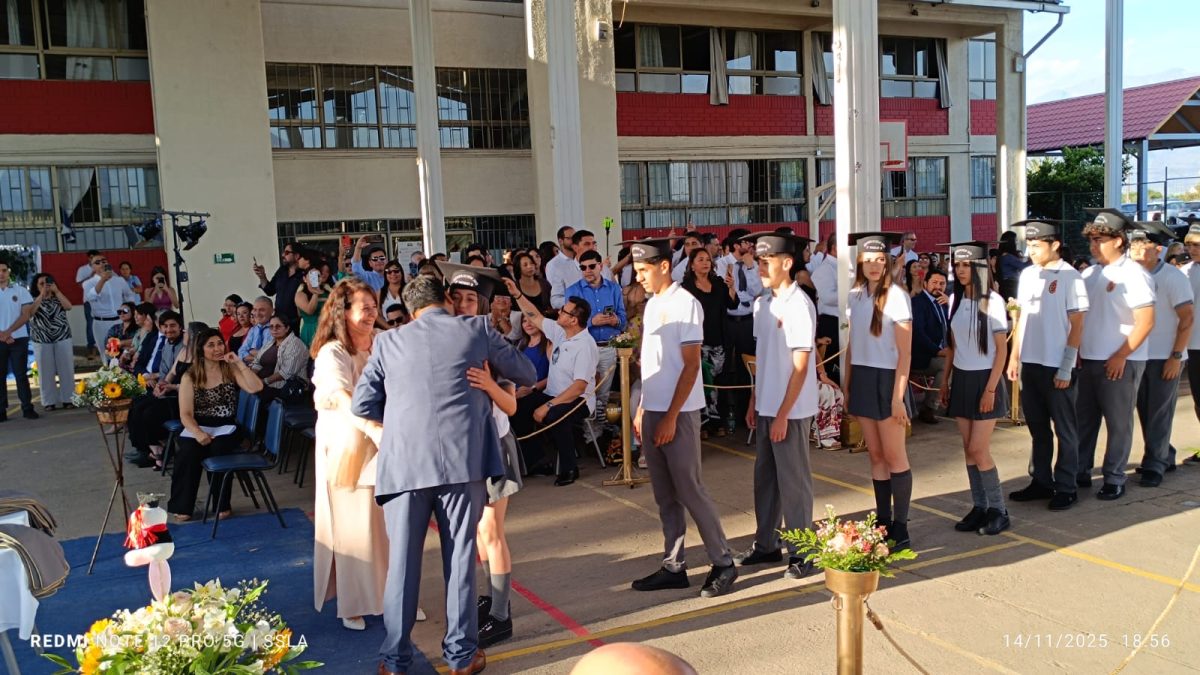 Licenciatura IV Medios